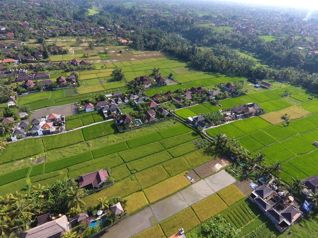 Pondok Penestanan Villa Ubud Екстер'єр фото